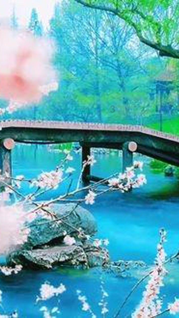 小锯鳄卡丁车竞赛